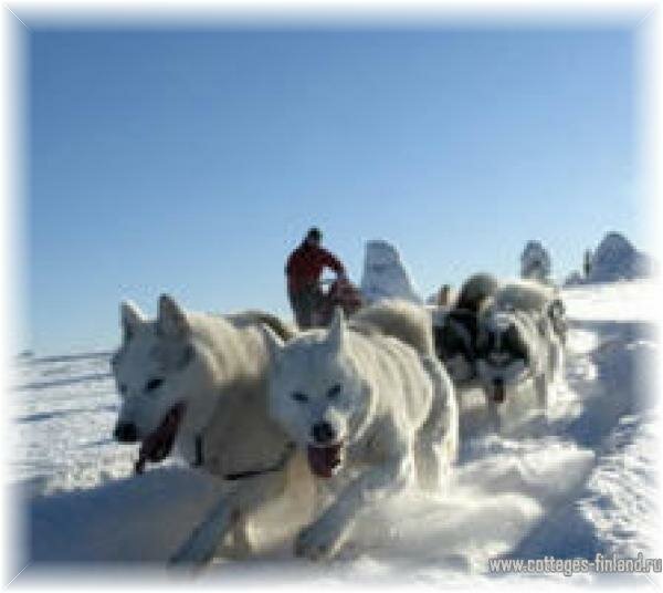 Курорт Финляндии Пюха