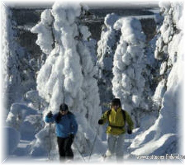 Зимний отдых на курорте Пюха