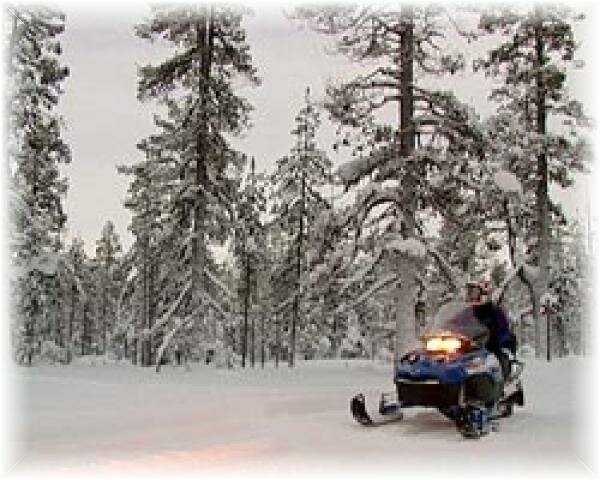 Для Лапландии снегоход — не роскошь, а нормальное средство передвижения